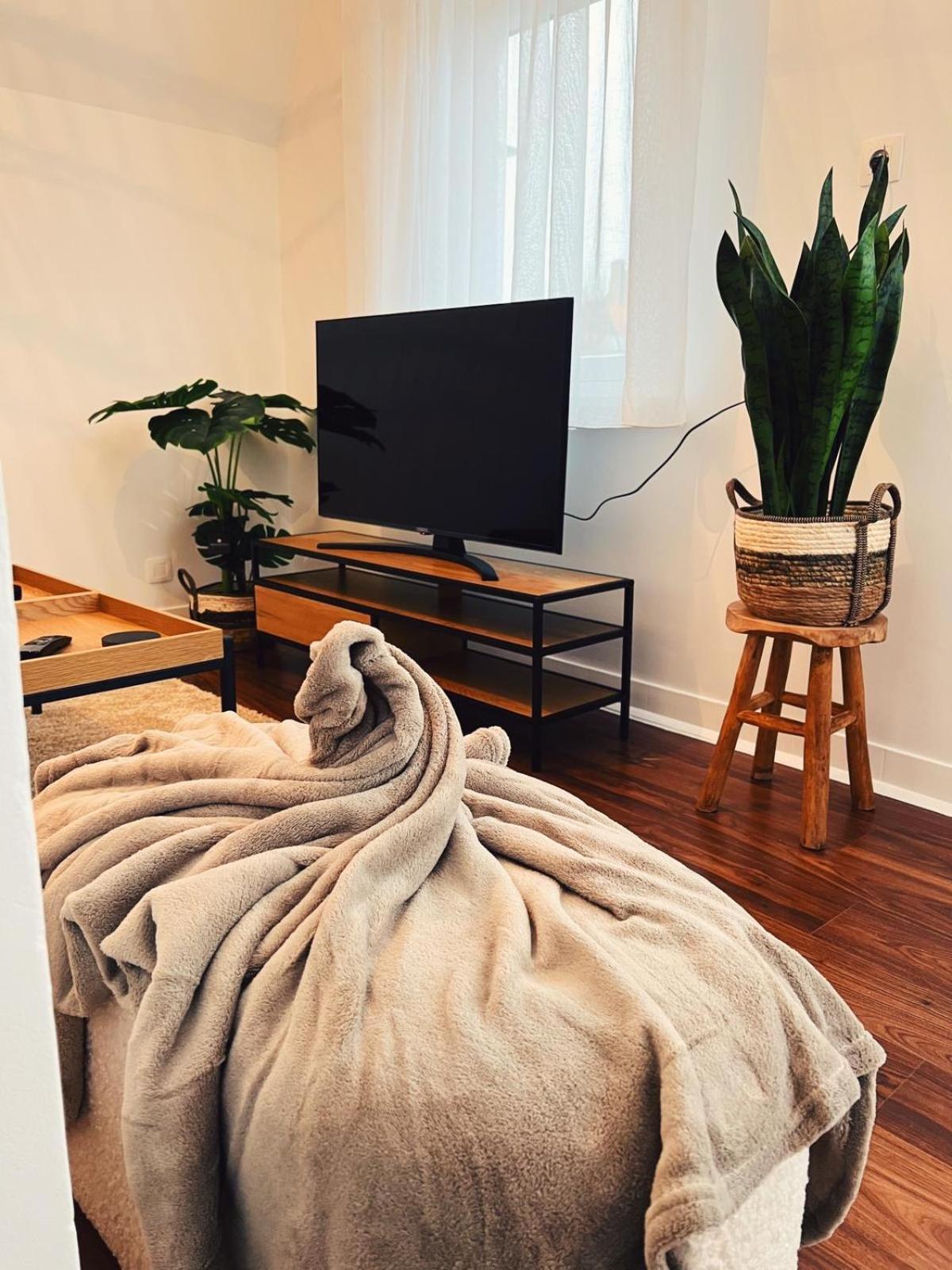 Studio Bella De Panne Exteriér fotografie