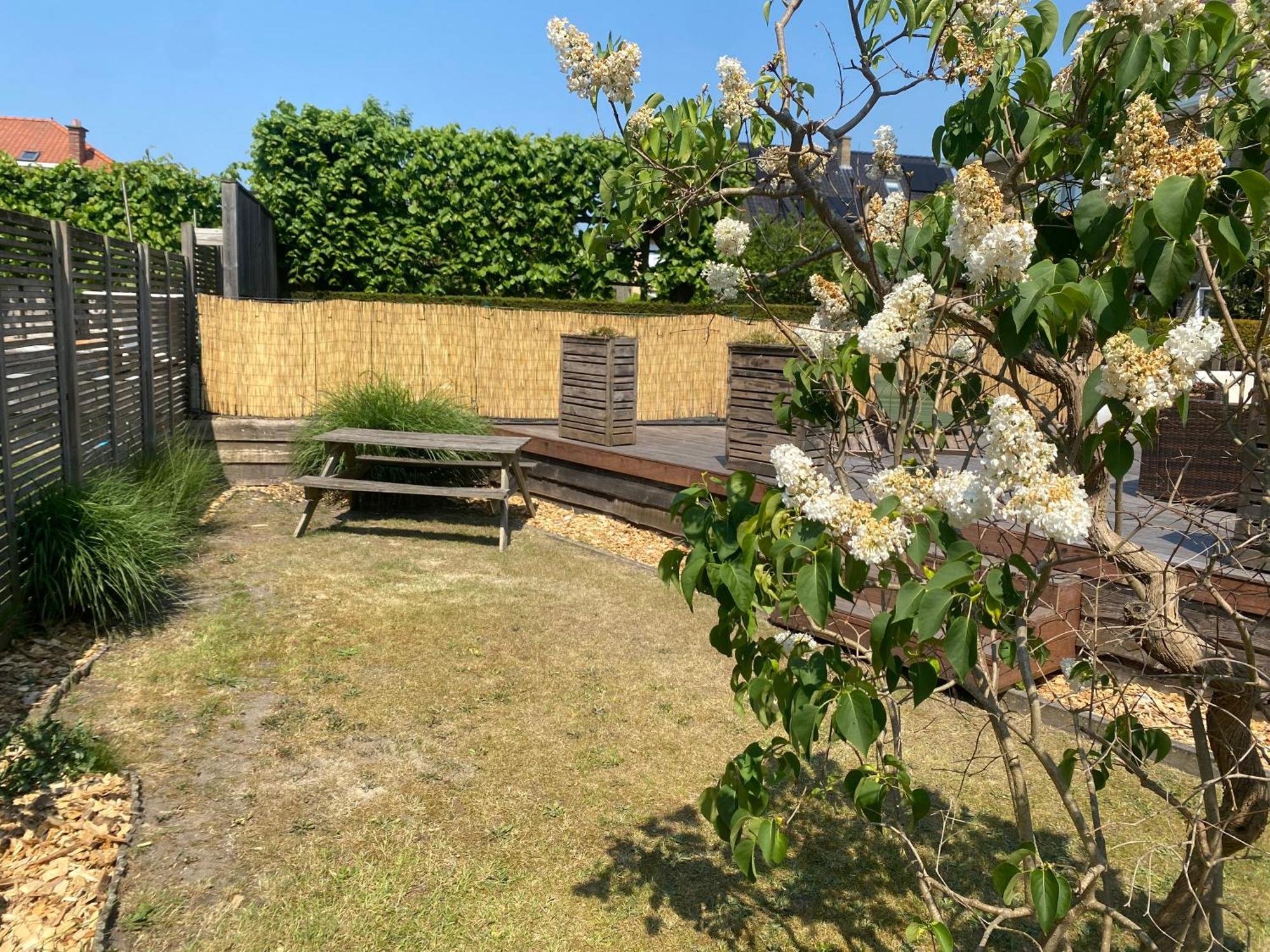 Studio Bella De Panne Exteriér fotografie